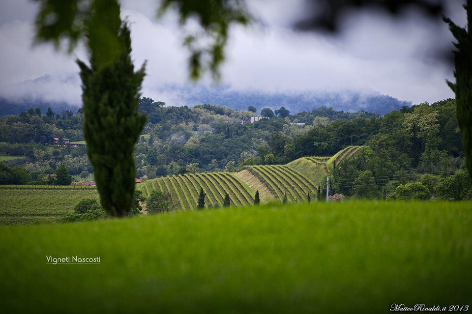 Wine & Lake In Franciacorta Passirano المظهر الخارجي الصورة