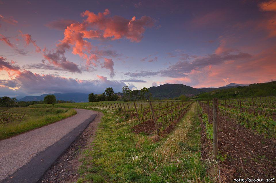 Wine & Lake In Franciacorta Passirano المظهر الخارجي الصورة