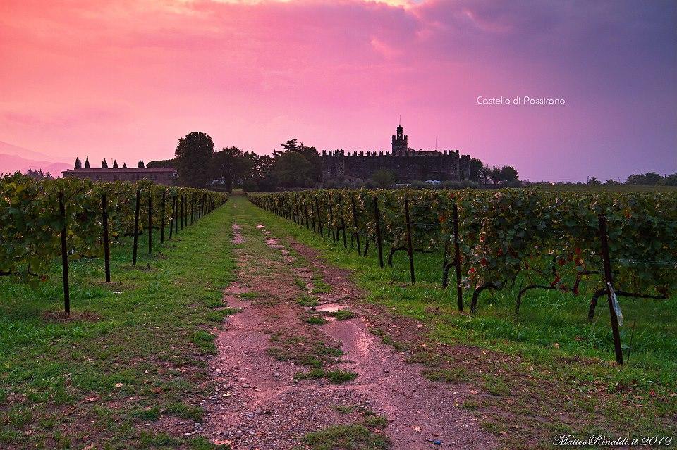 Wine & Lake In Franciacorta Passirano المظهر الخارجي الصورة